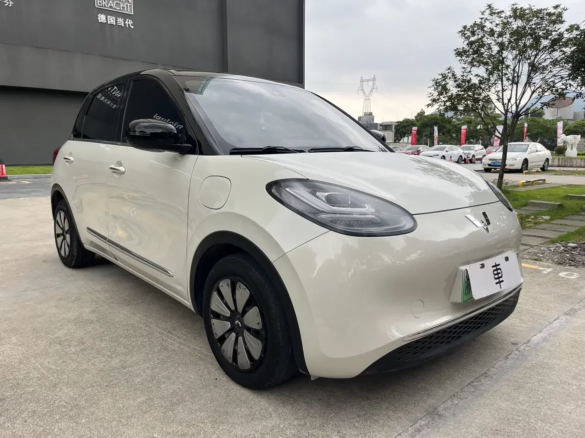Wuling Bingo