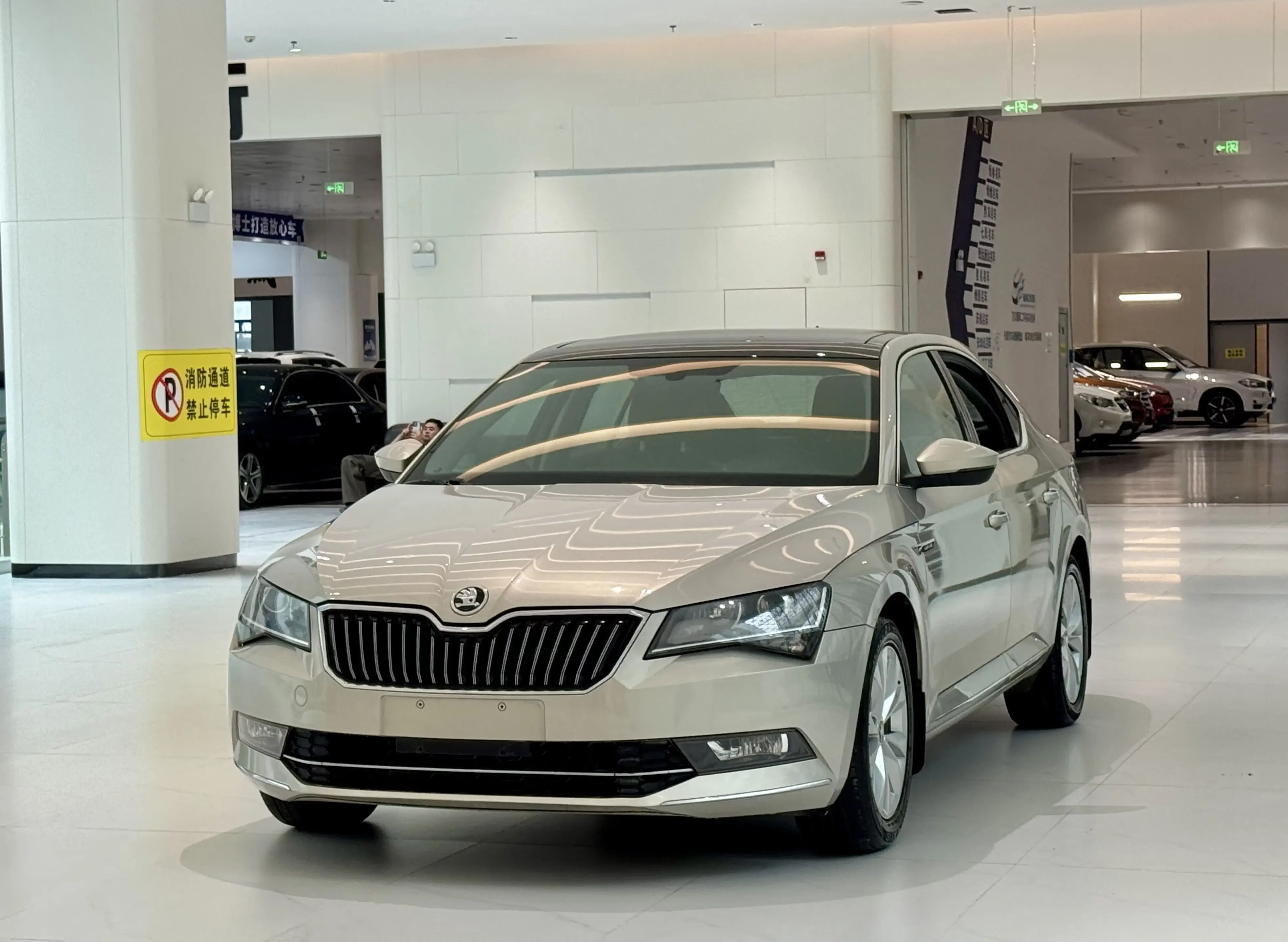 Skoda Speedy