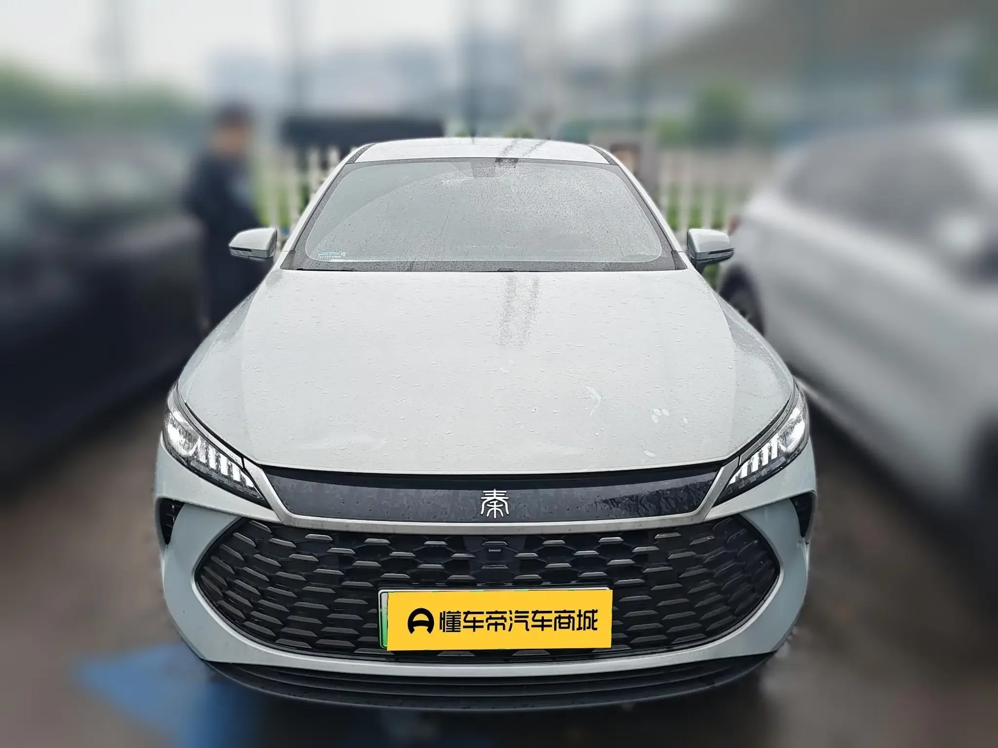BYD Qin PLUS DM