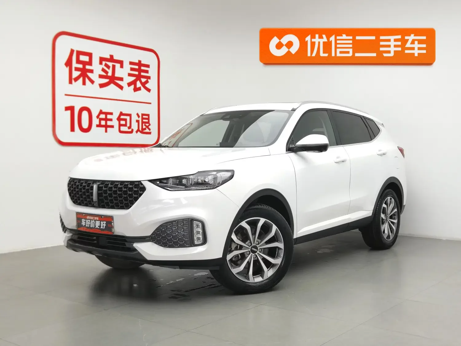 Wey Wei brand VV6