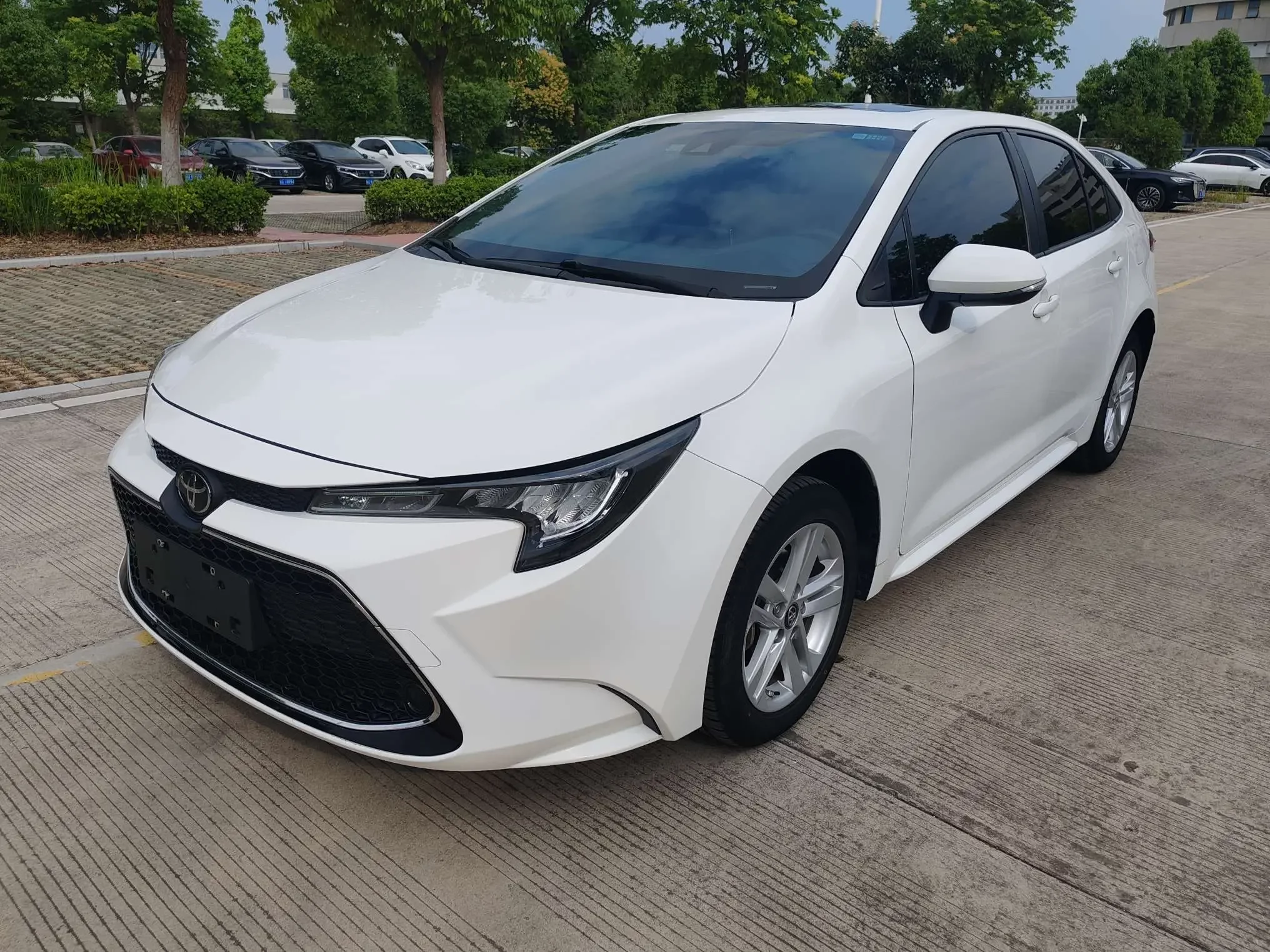 Toyota Levin
