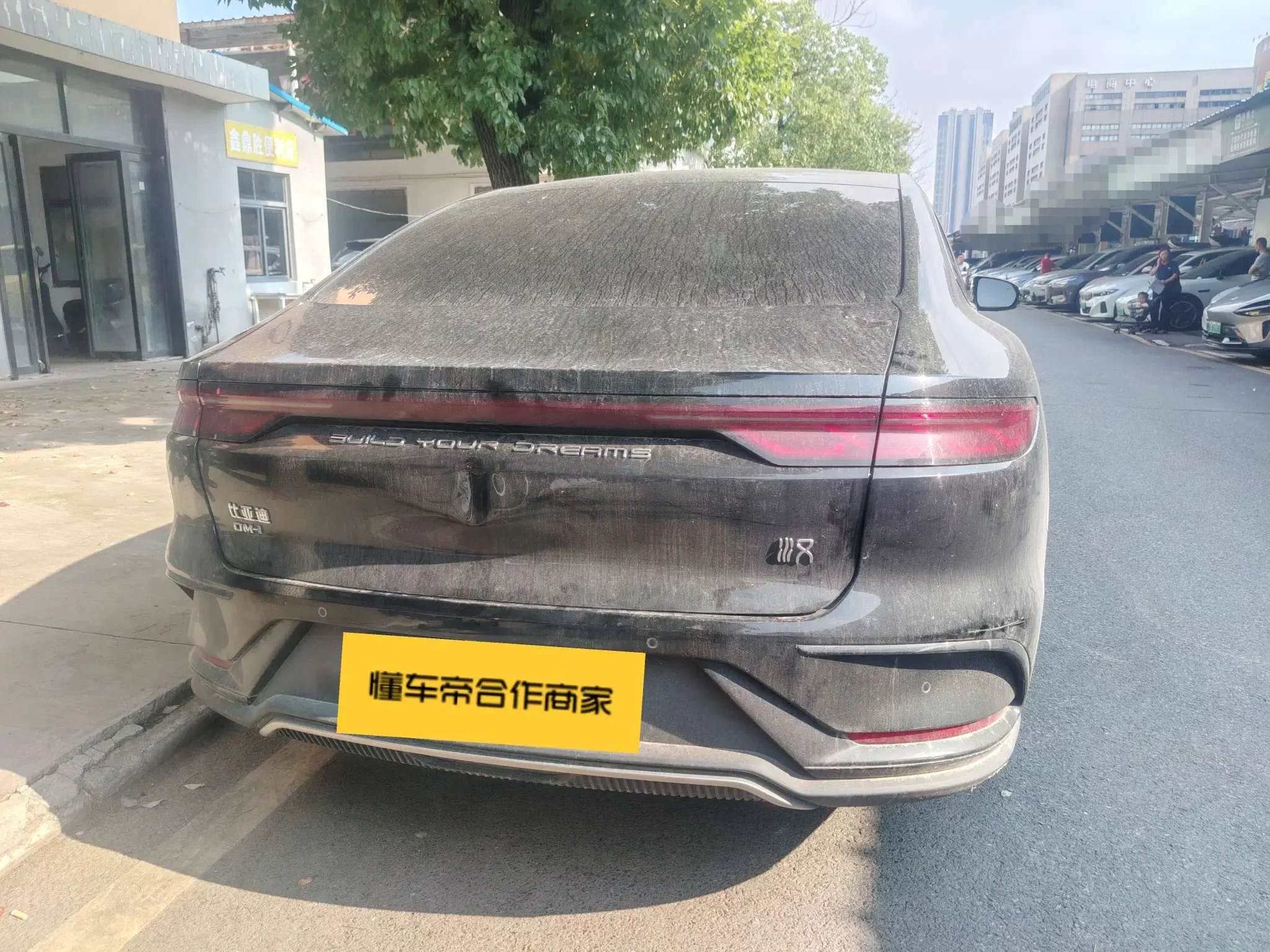 BYD HAN DM