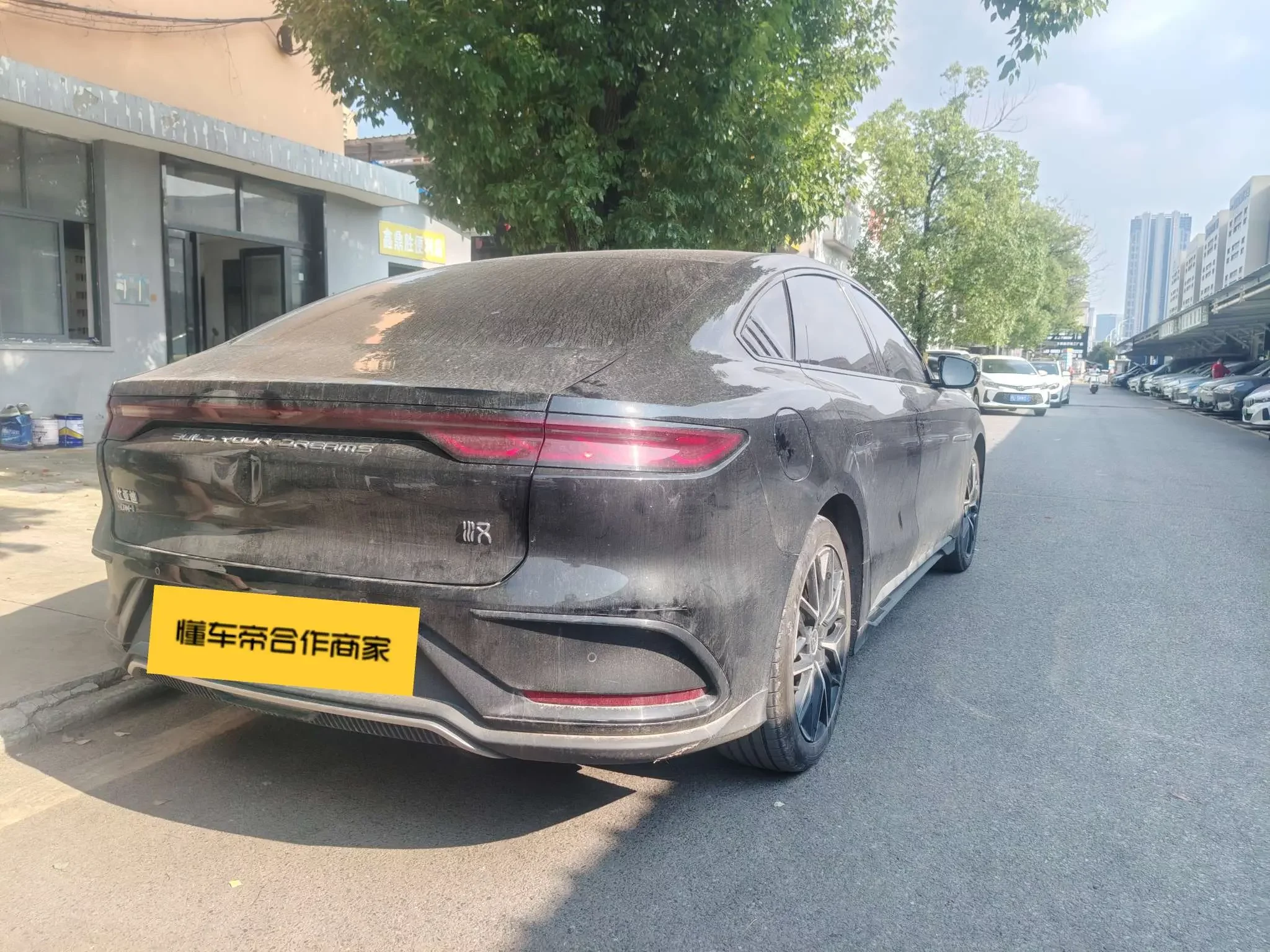 BYD HAN DM
