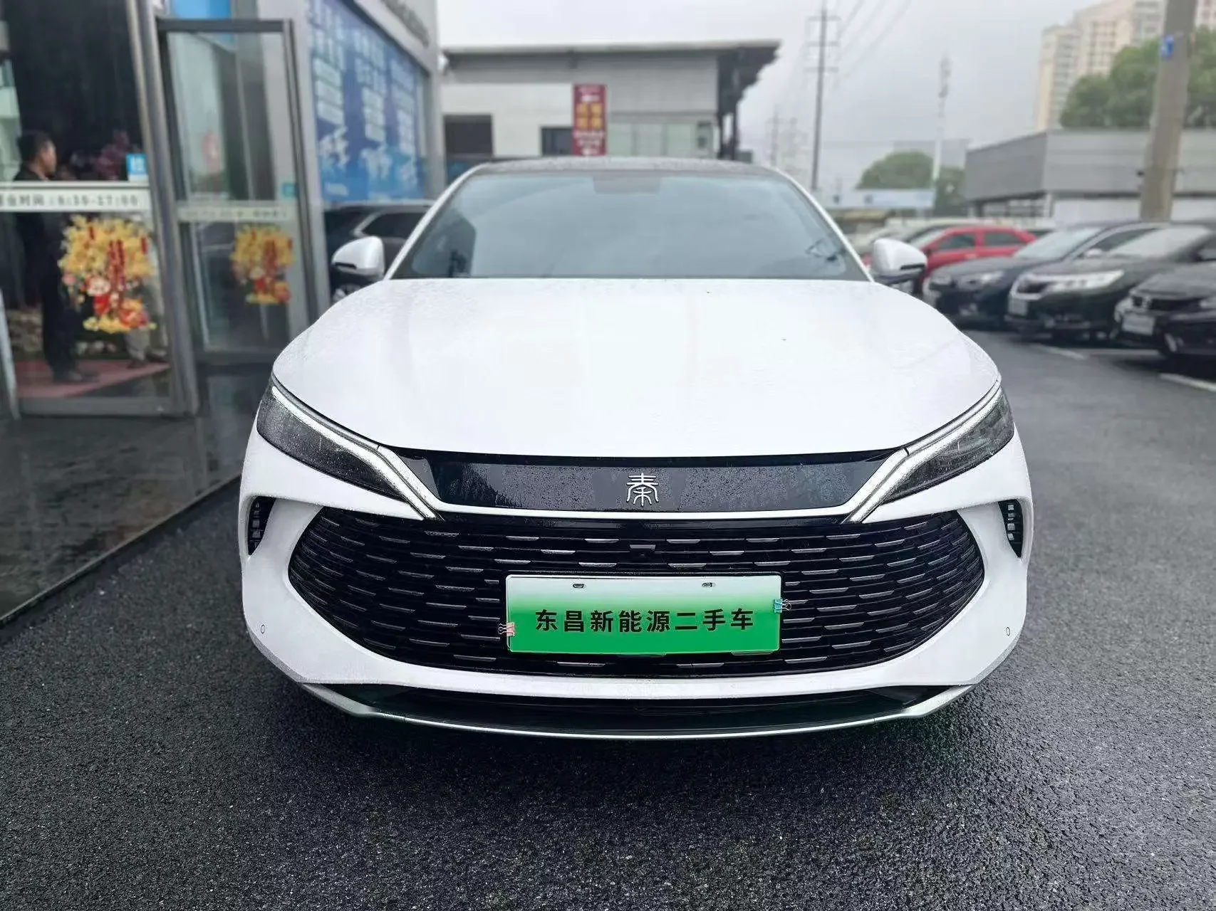 BYD Qin L DM