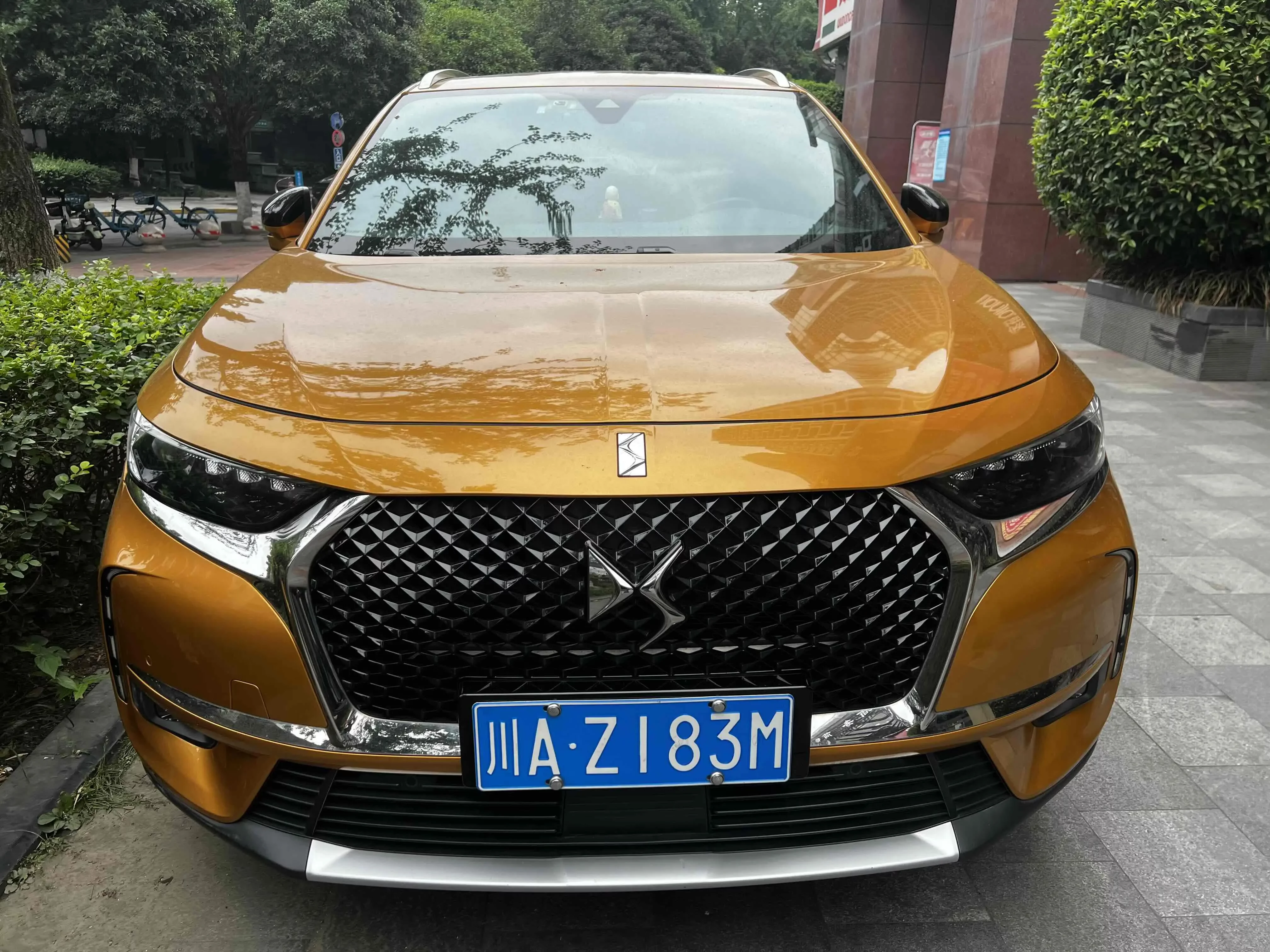 DS 7