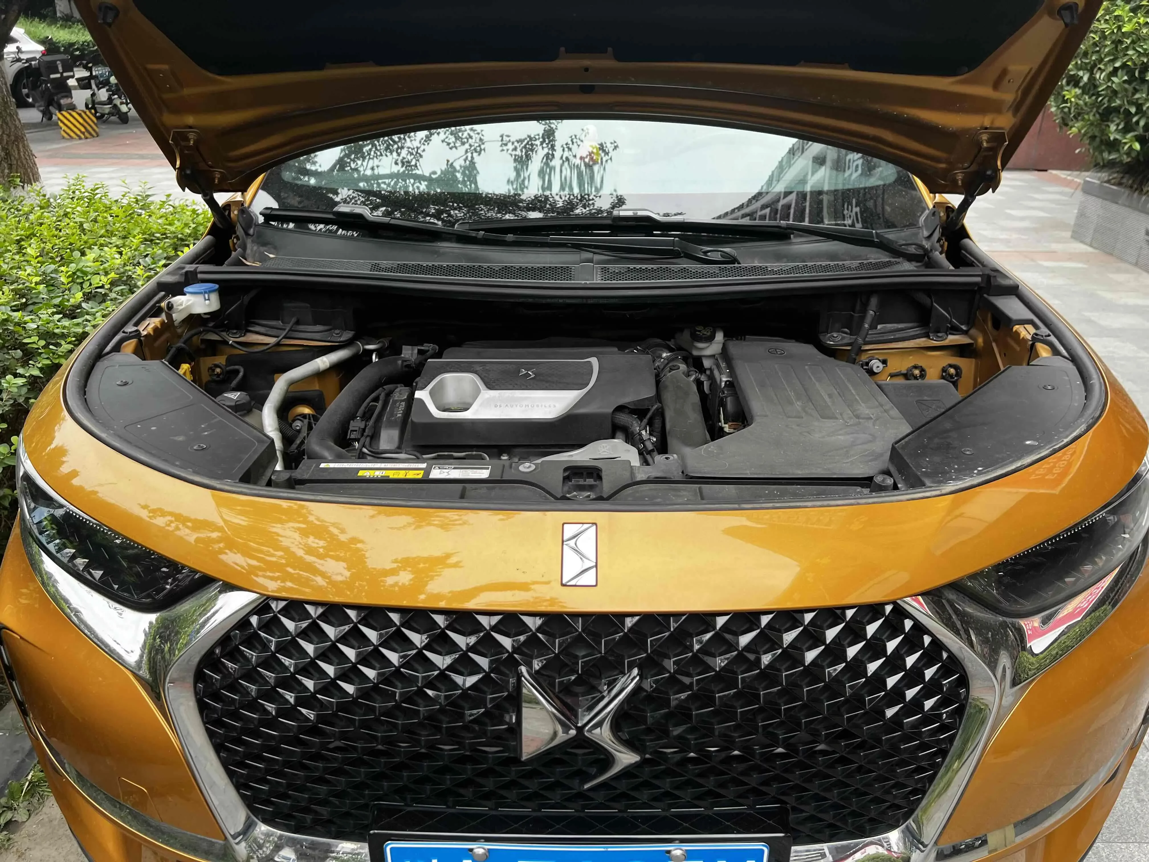DS 7