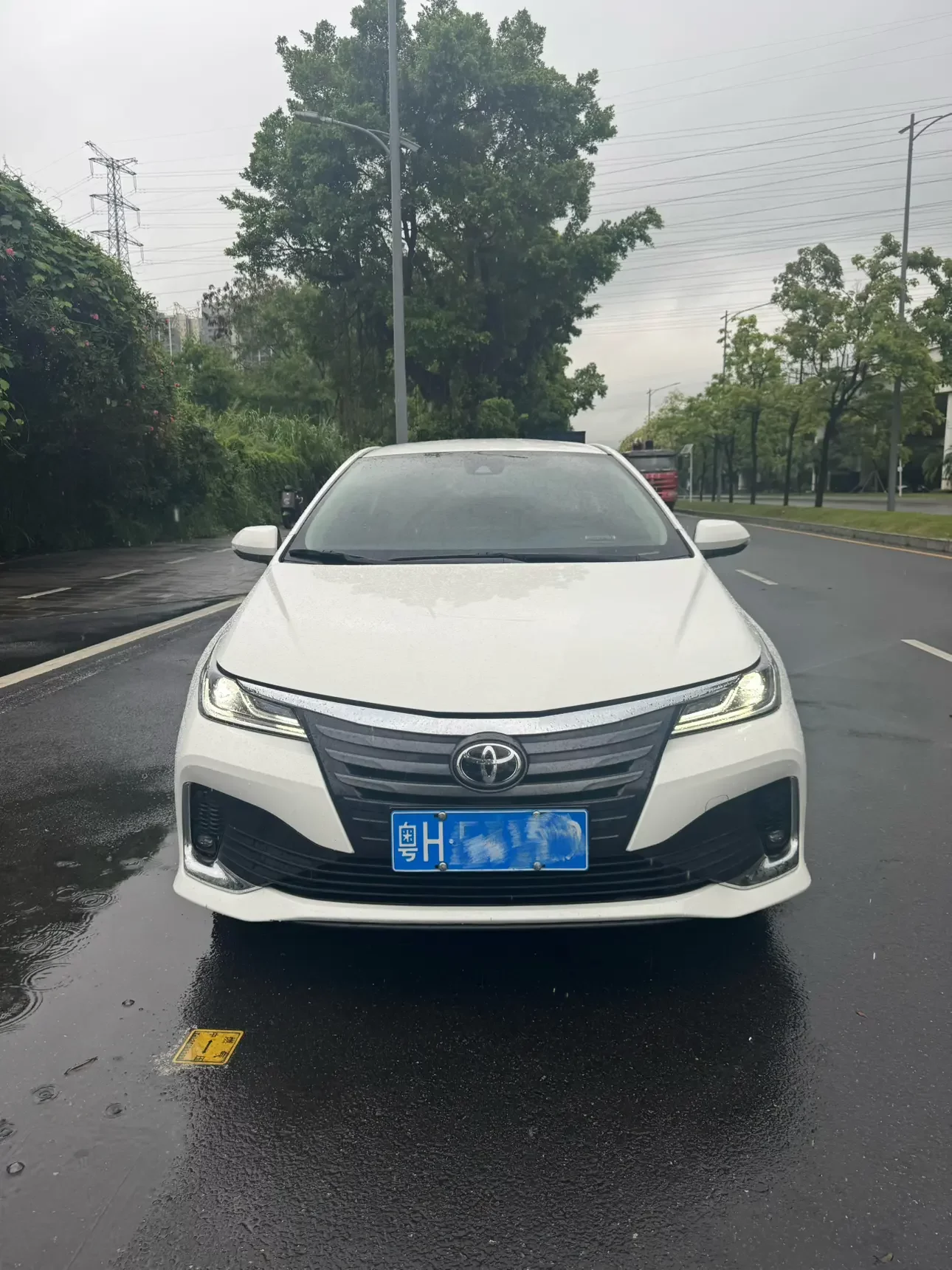 Toyota Asiatic lion