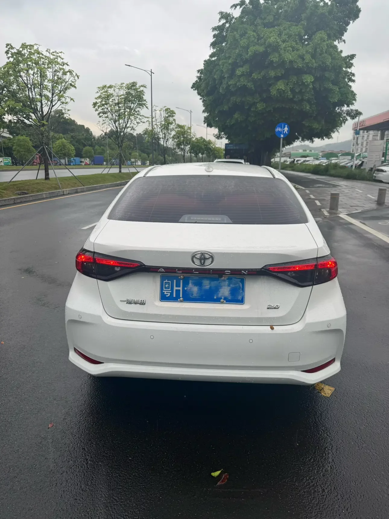 Toyota Asiatic lion
