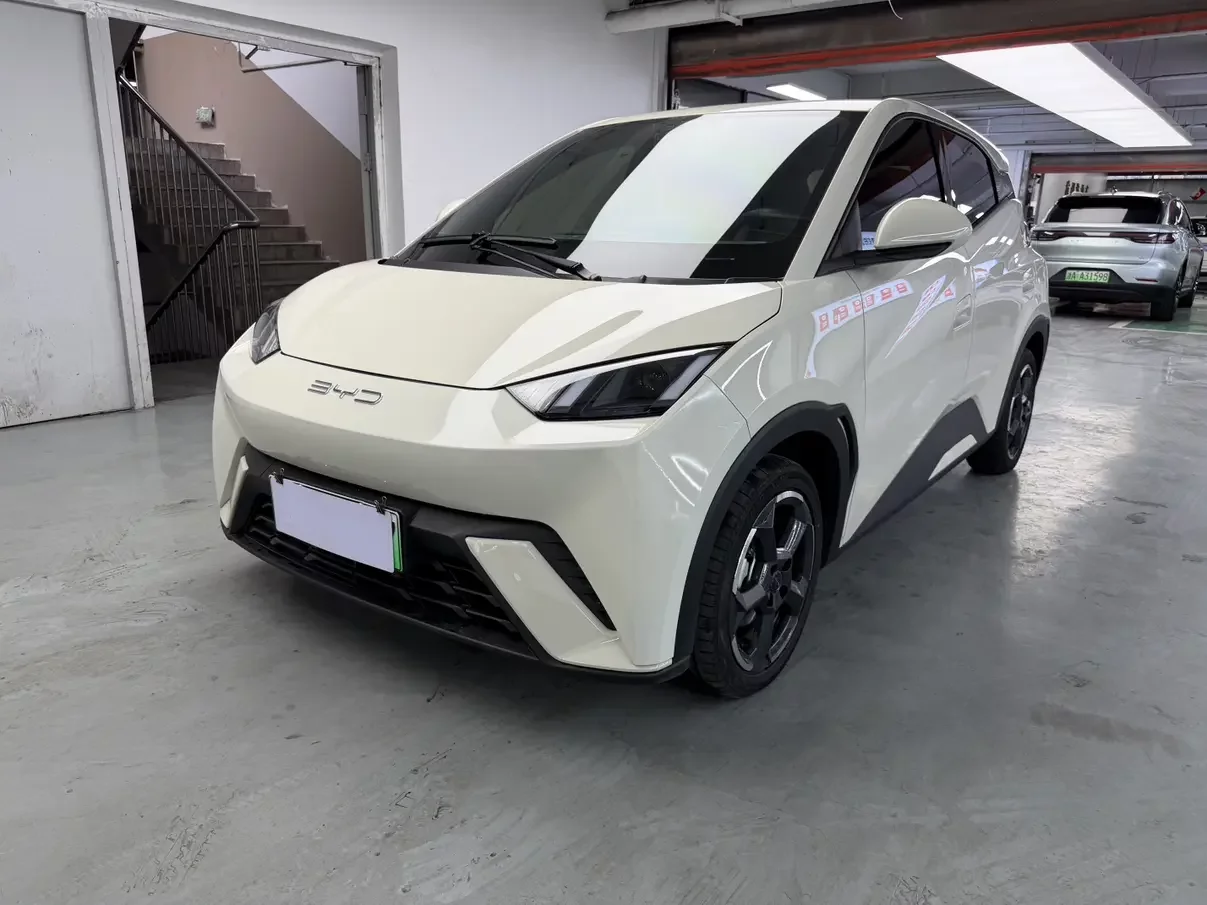 BYD seagull