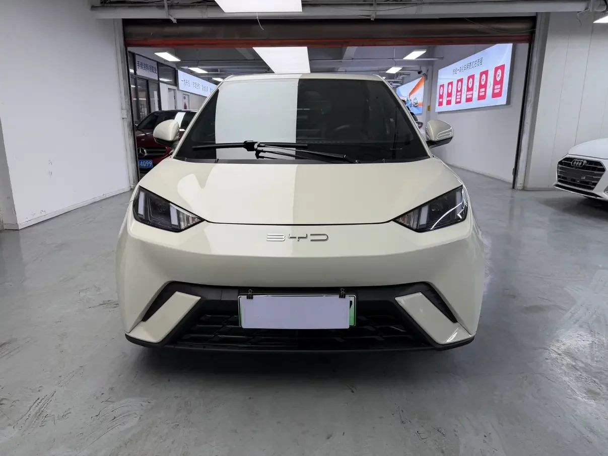 BYD seagull