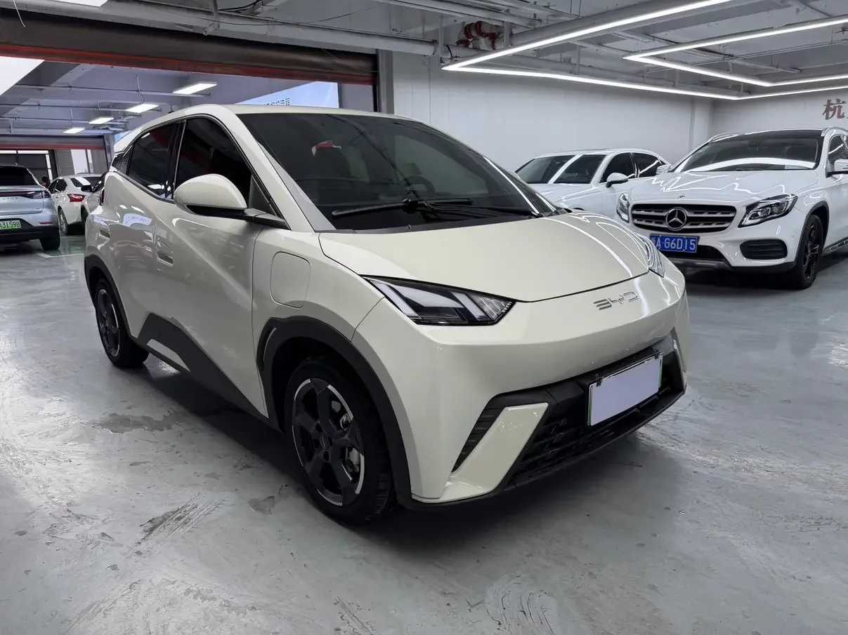 BYD seagull
