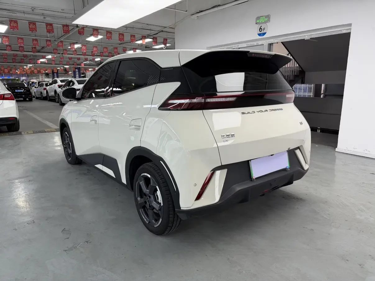 BYD seagull