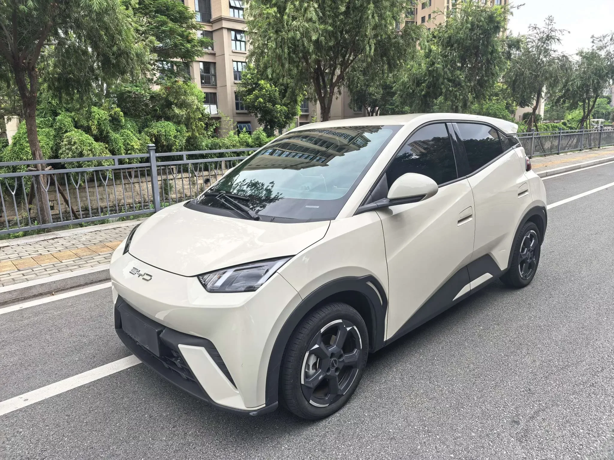 BYD seagull