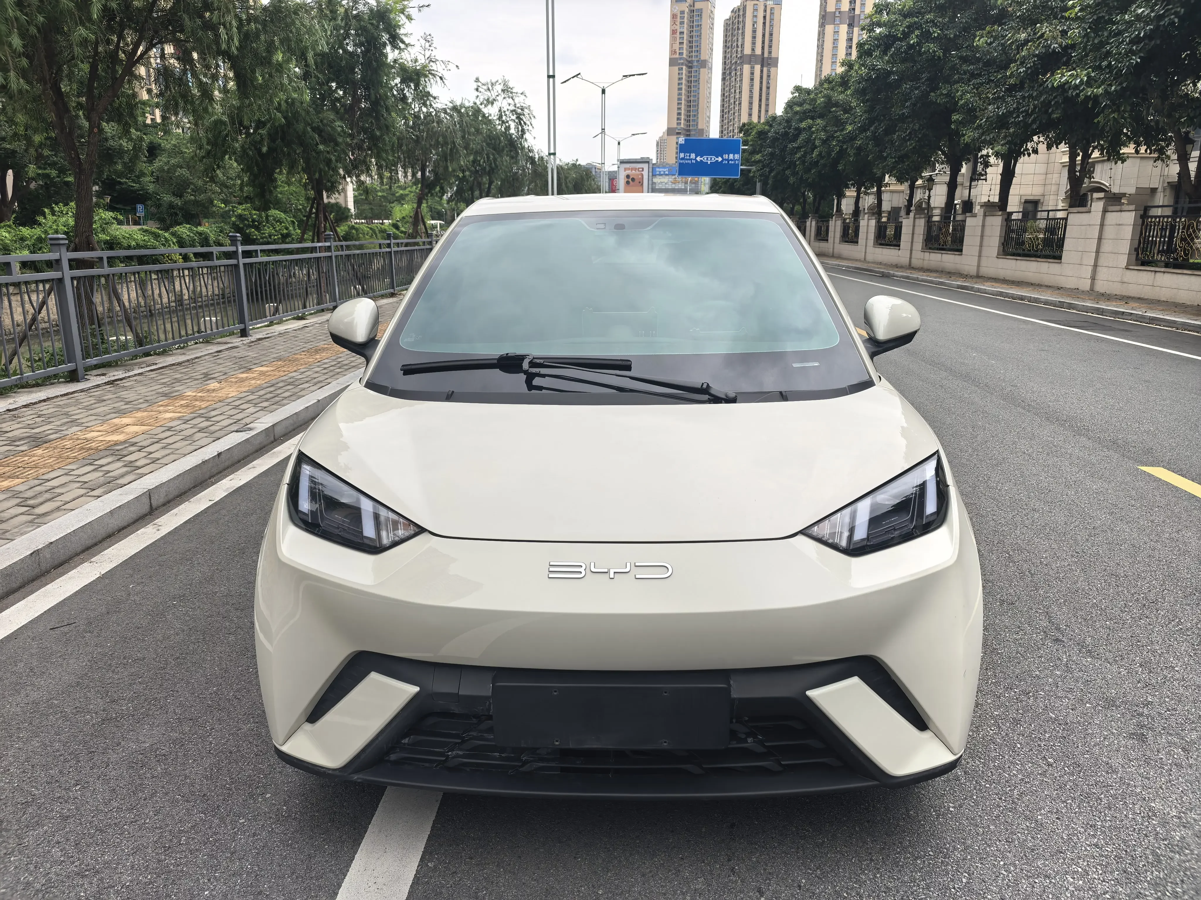 BYD seagull