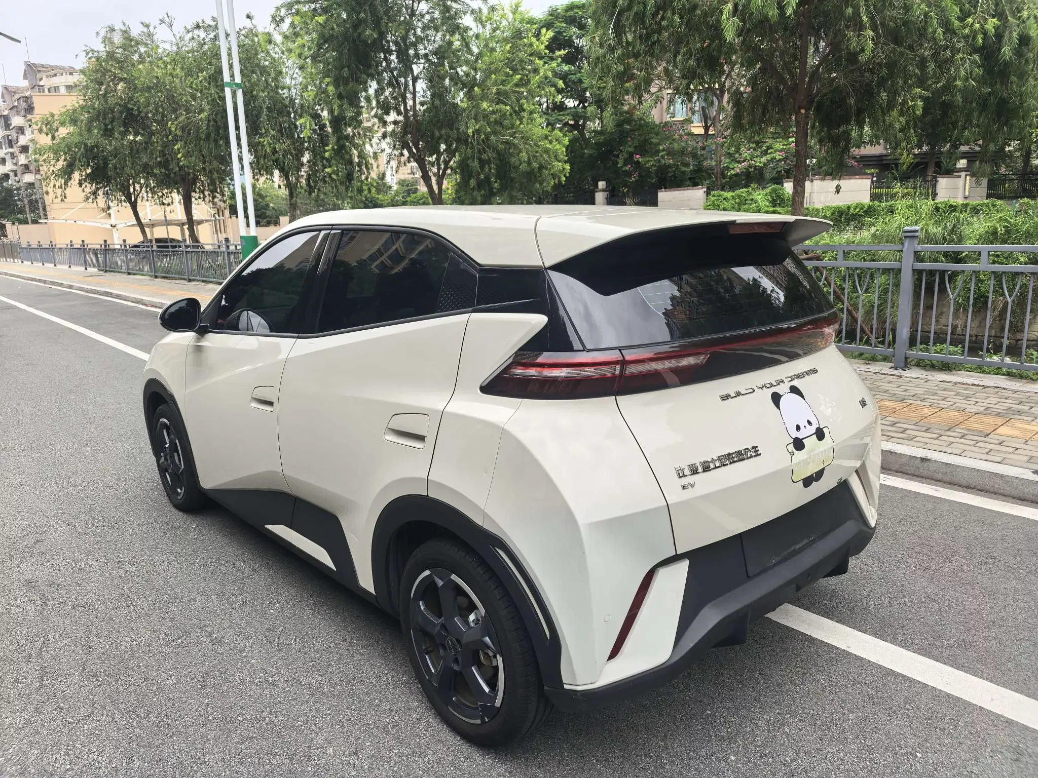 BYD seagull