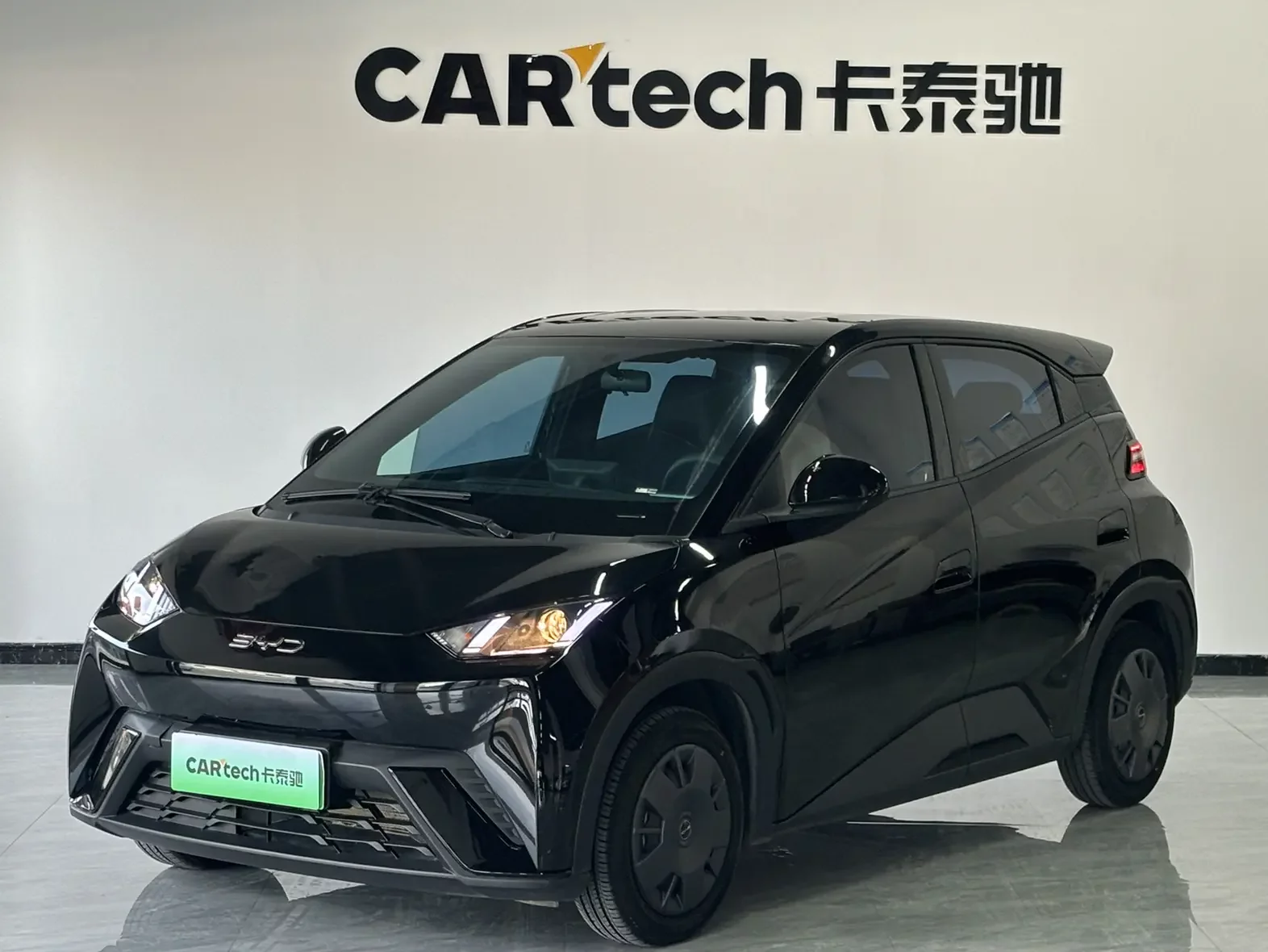 BYD seagull