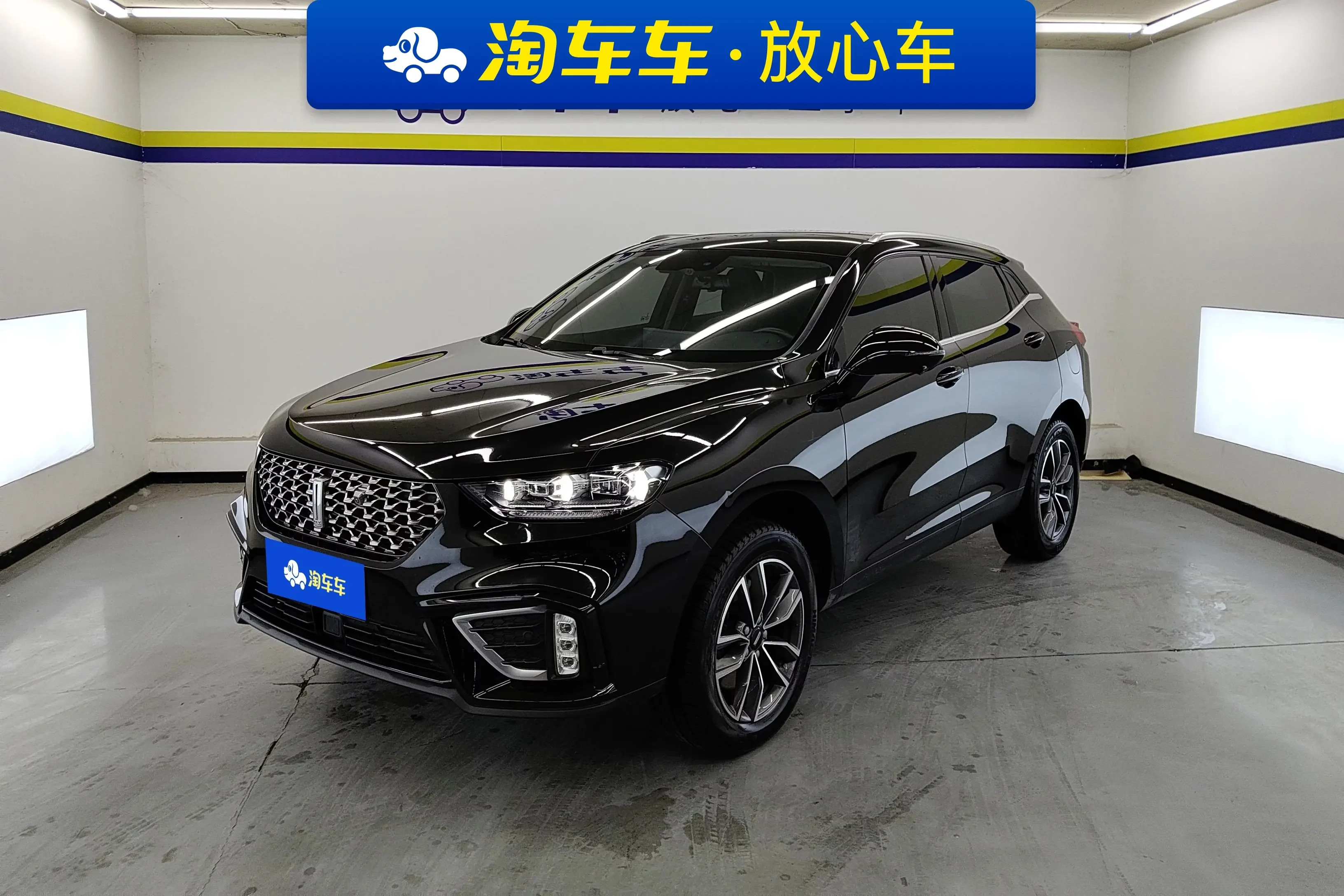 Wey Wei brand VV5