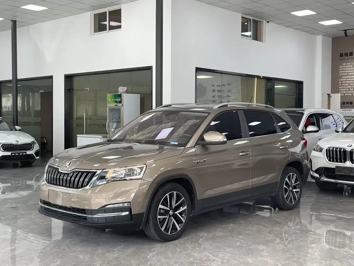 Skoda Comek  из Китая