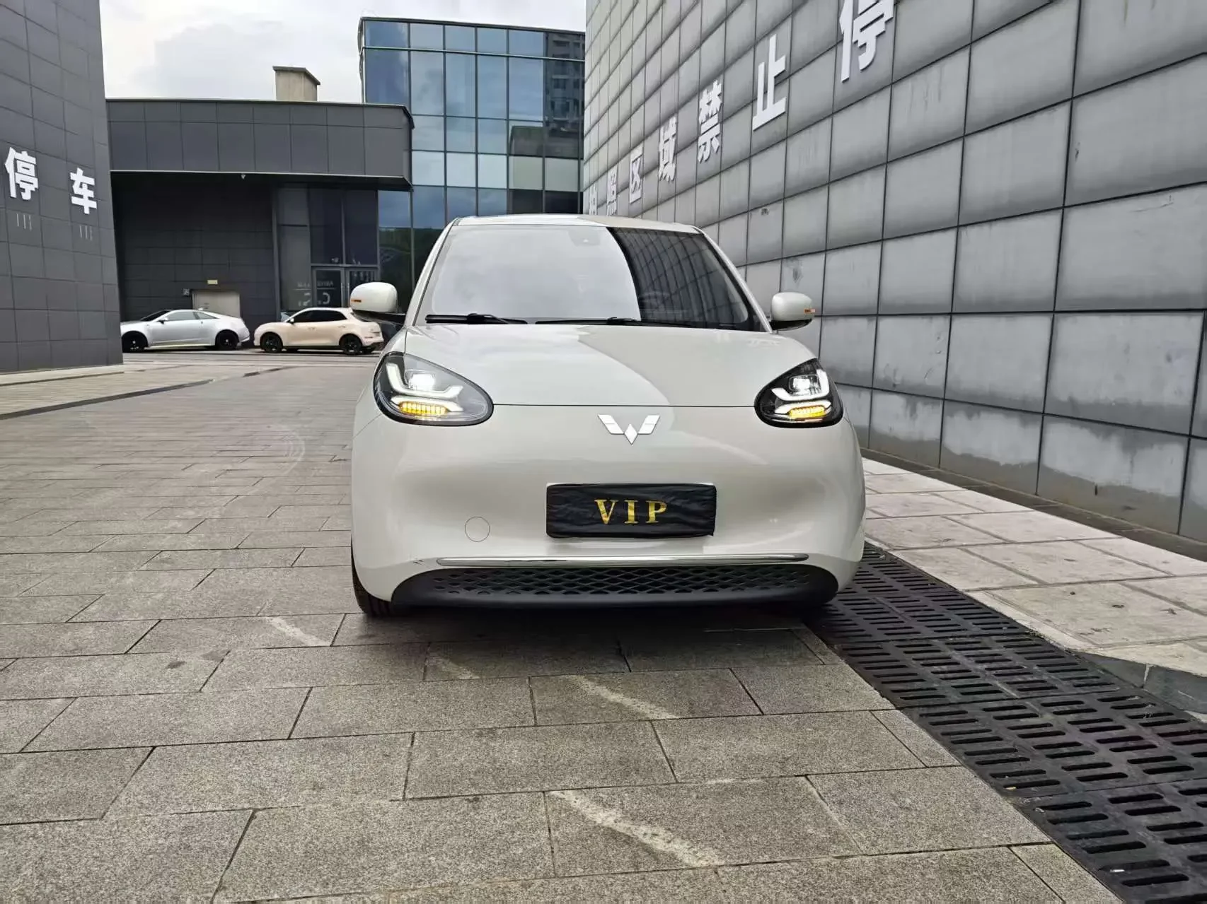 Wuling Bingo
