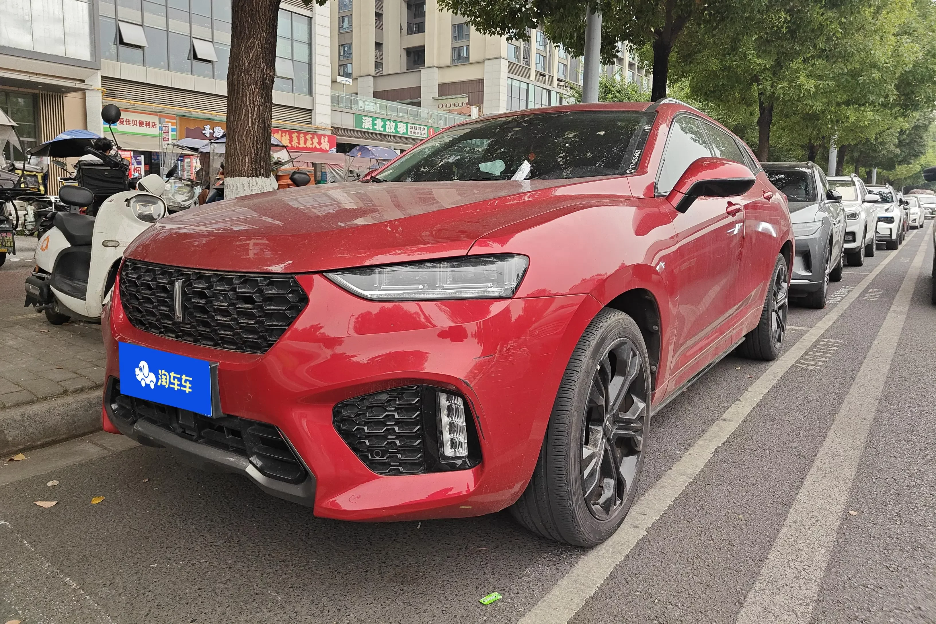 Wey Wei brand VV7