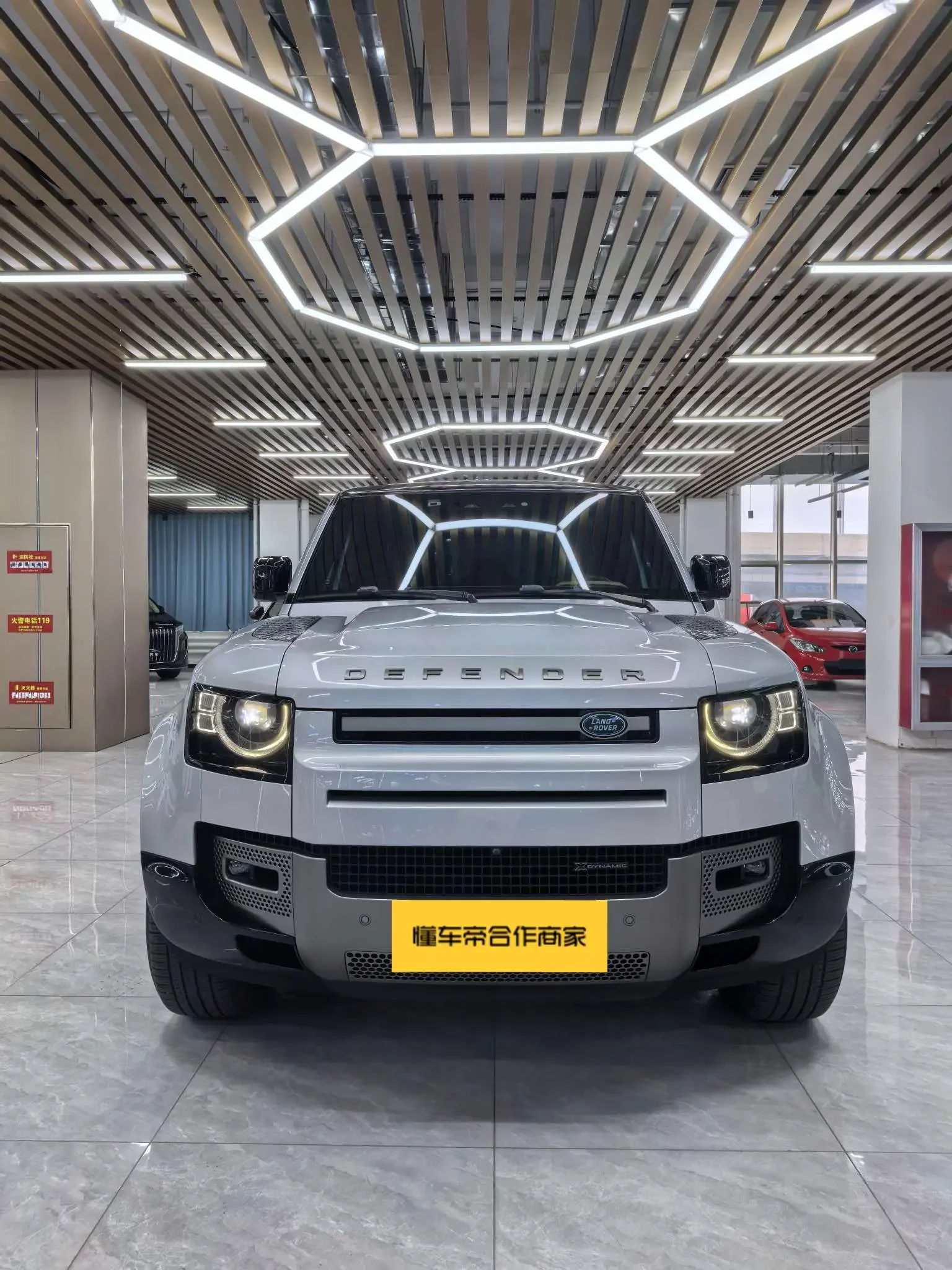Land Rover guard