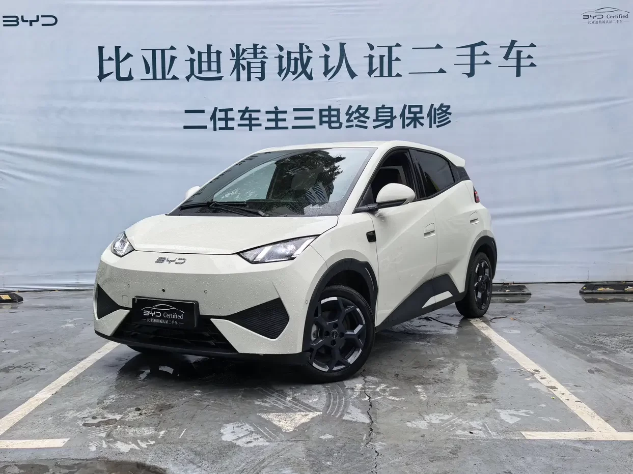 BYD seagull