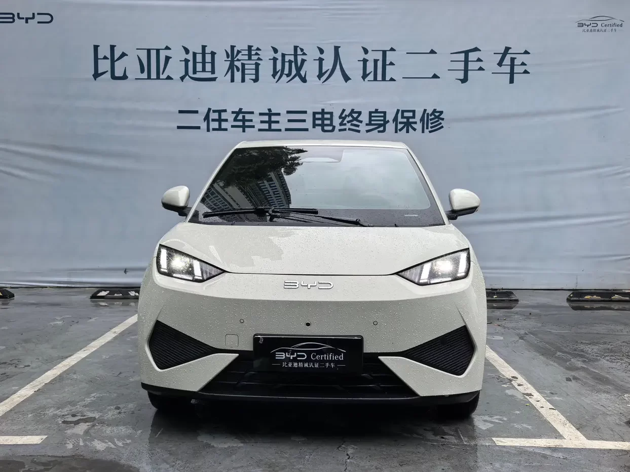 BYD seagull