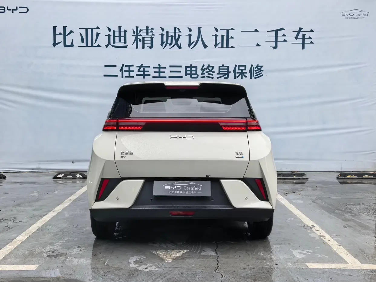 BYD seagull