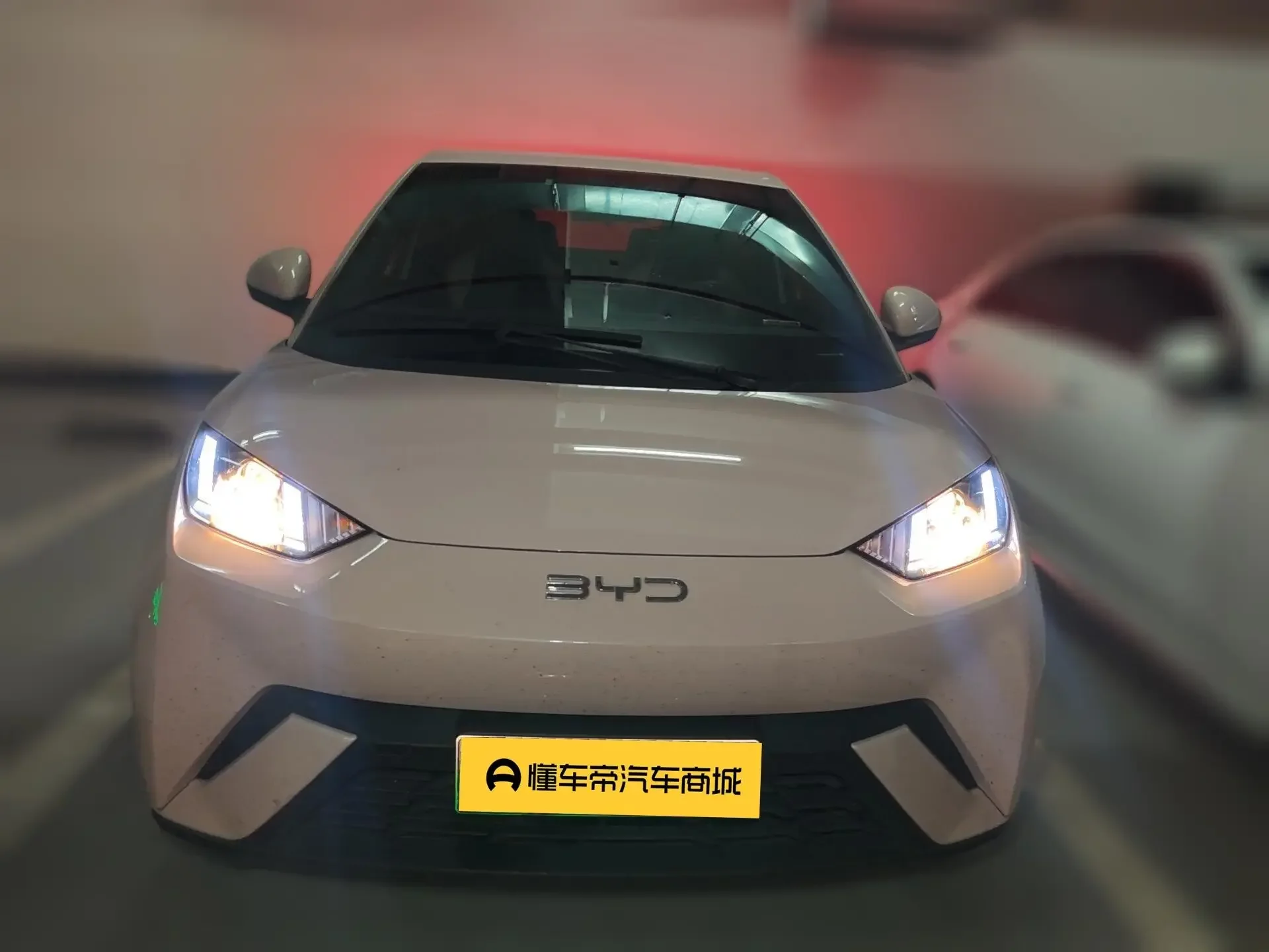 BYD seagull