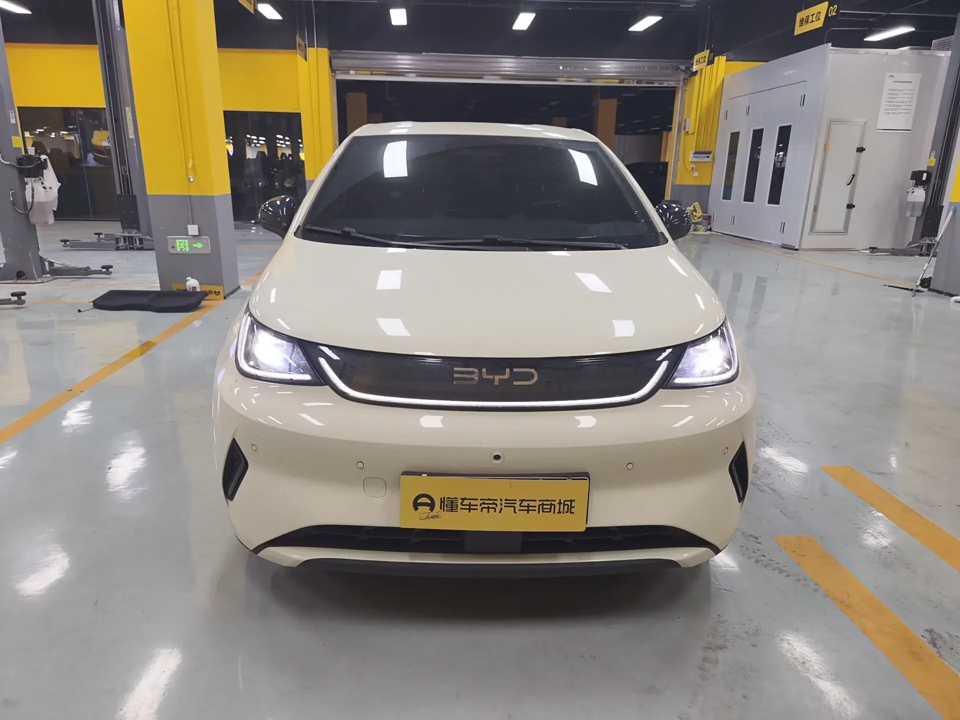 BYD dolphin