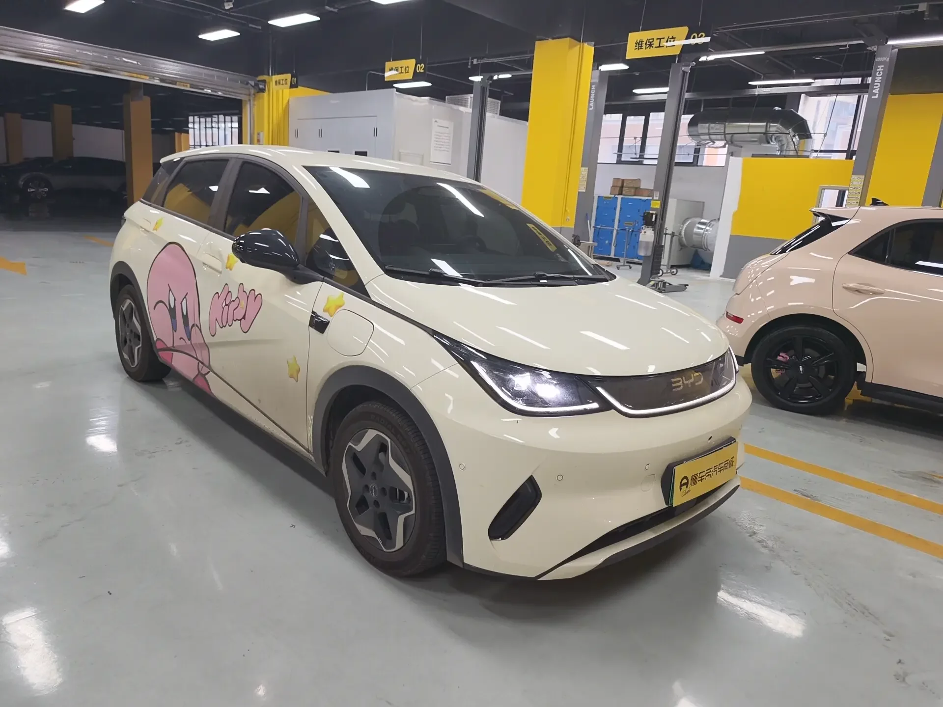 BYD dolphin