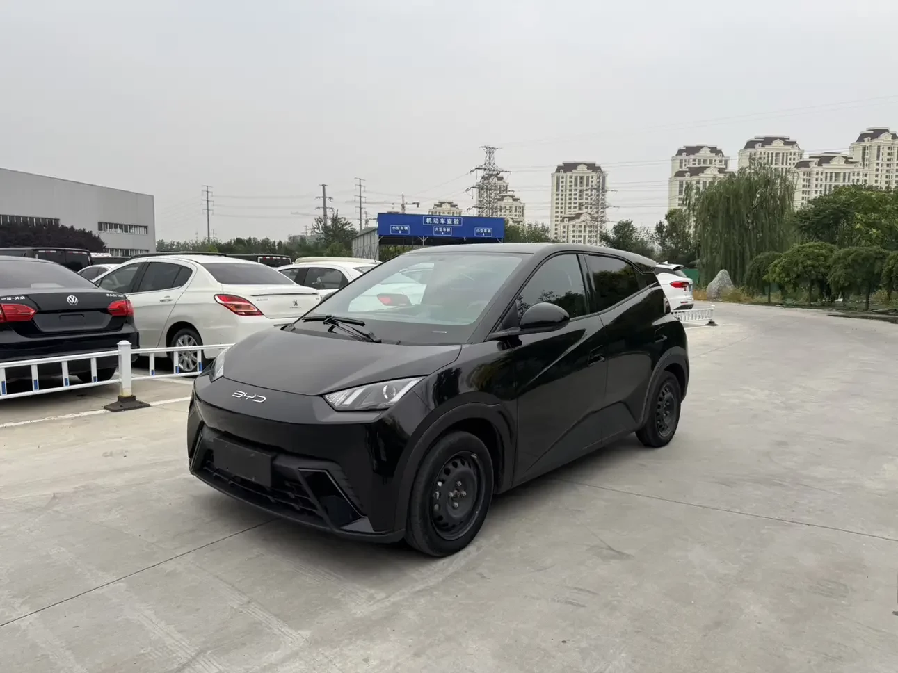 BYD seagull