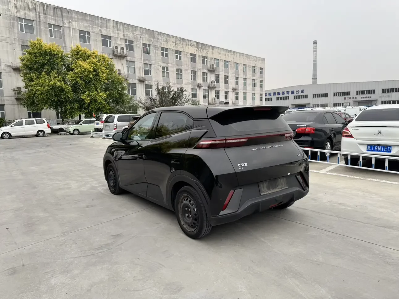 BYD seagull