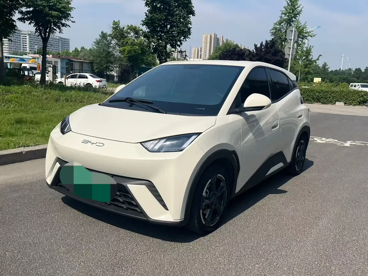 BYD seagull