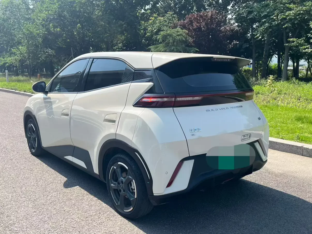 BYD seagull