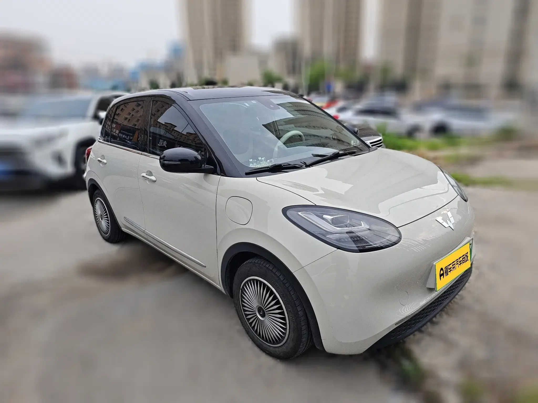Wuling Bingo