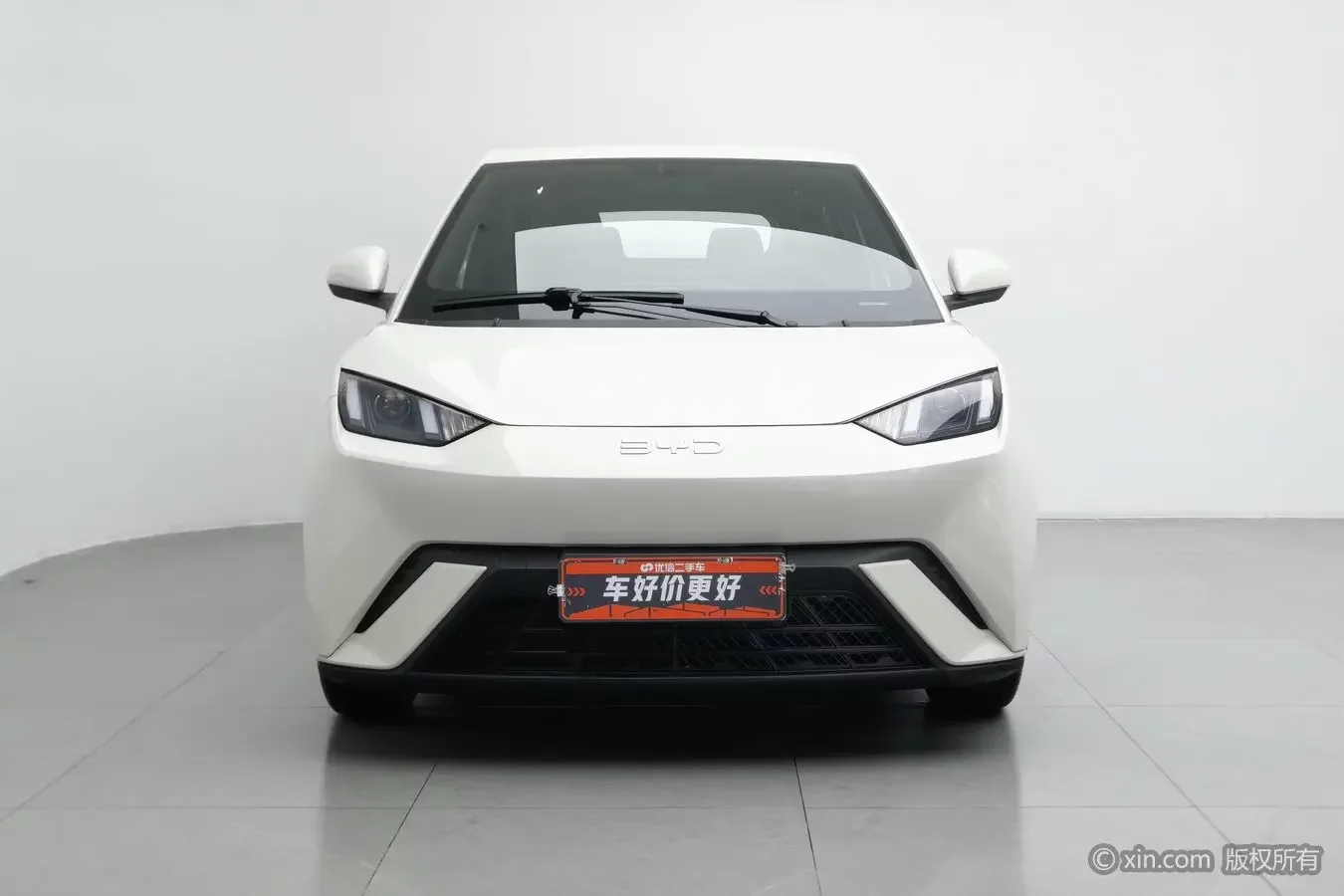 BYD seagull