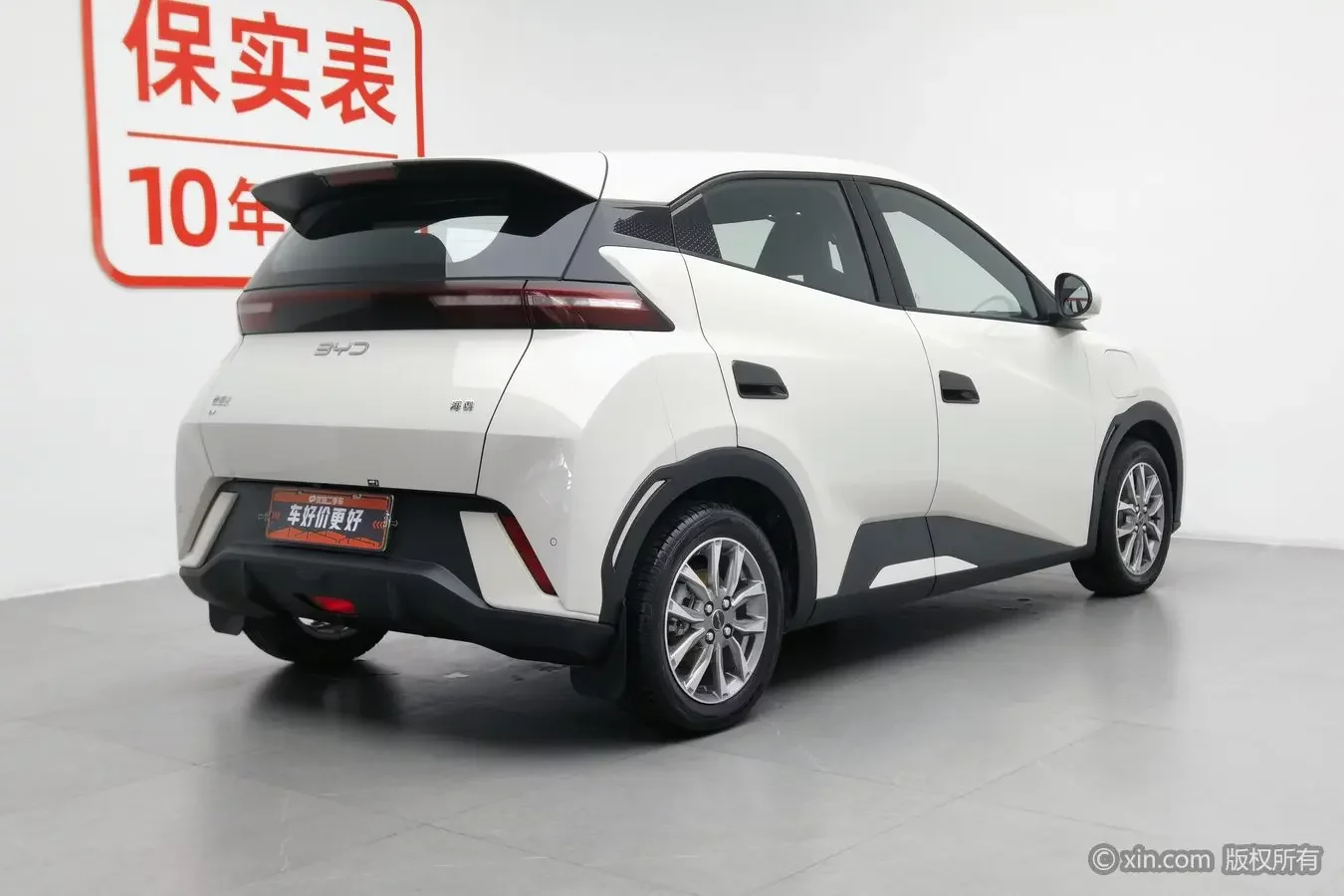 BYD seagull