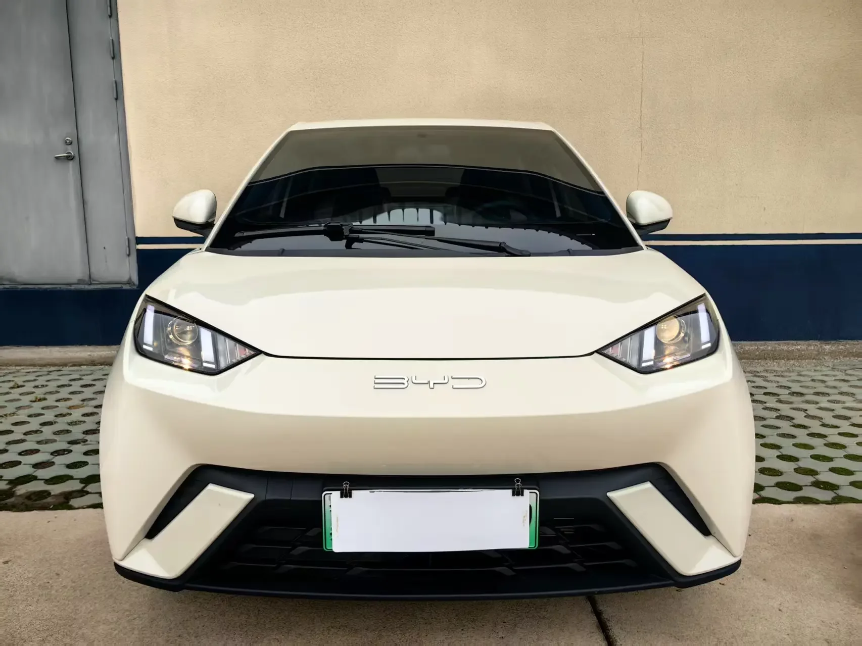 BYD seagull