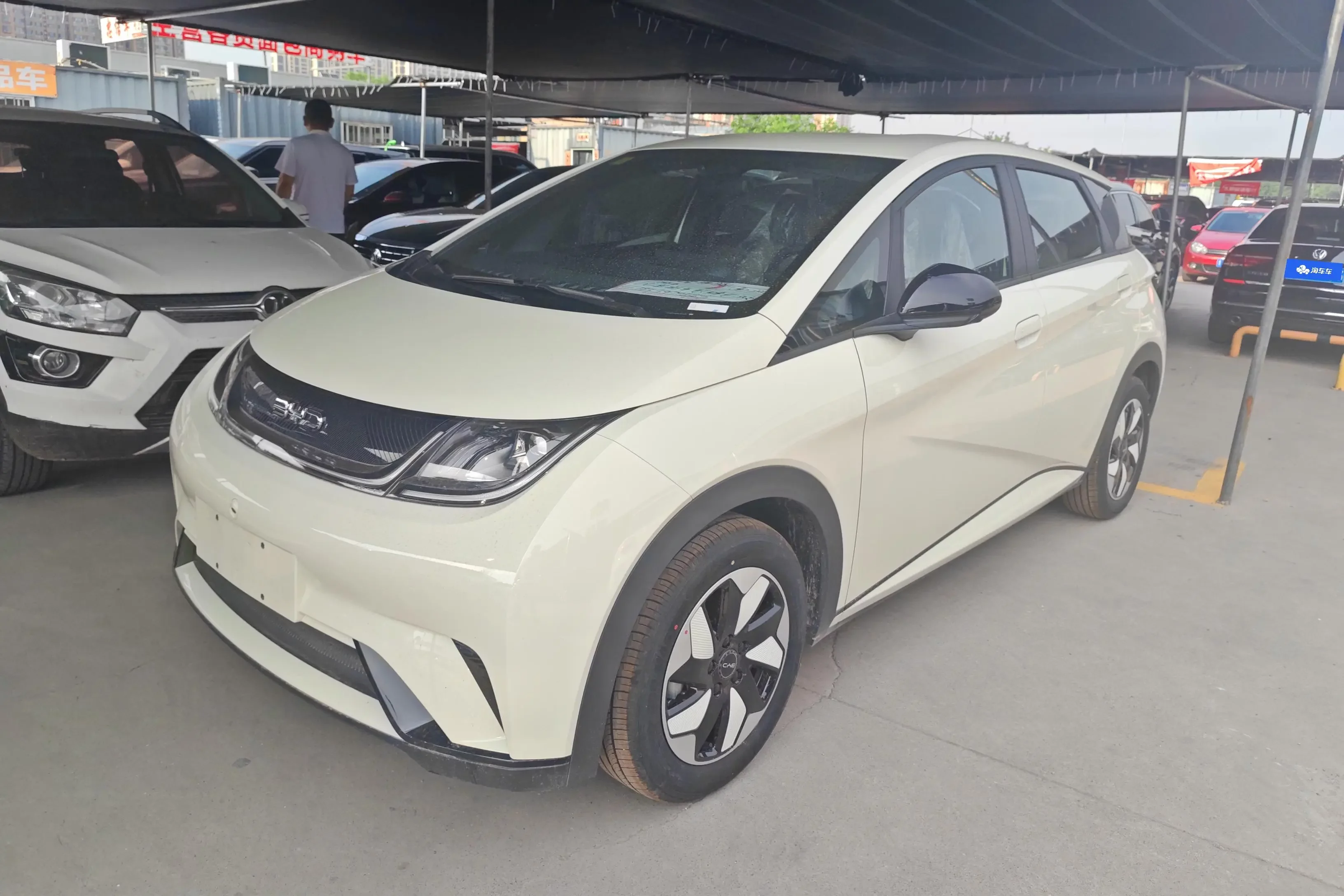 BYD dolphin