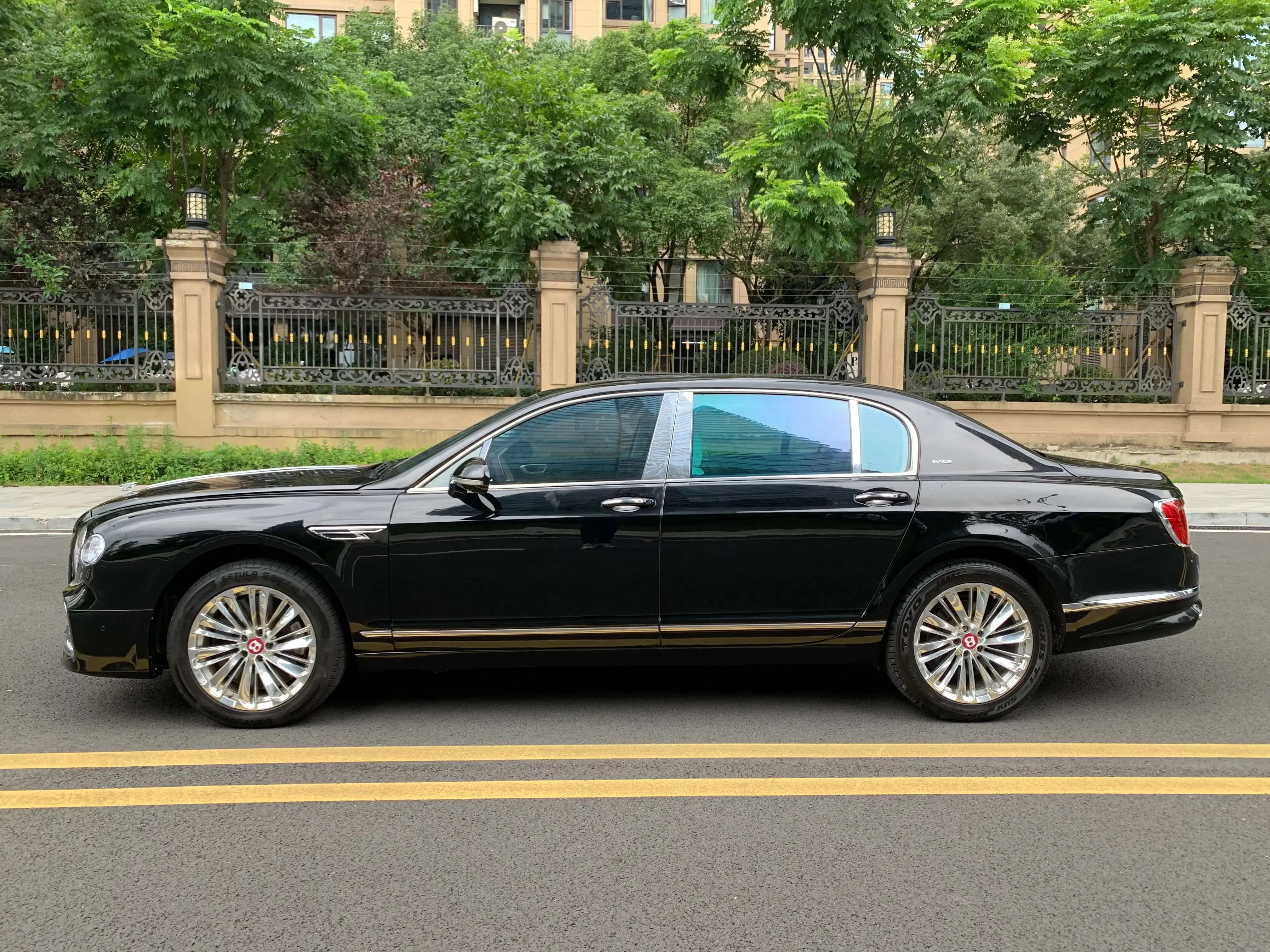 Bentley galloping