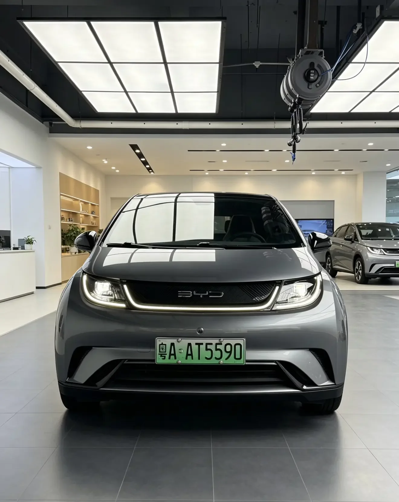 BYD dolphin