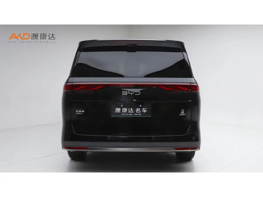 BYD summer