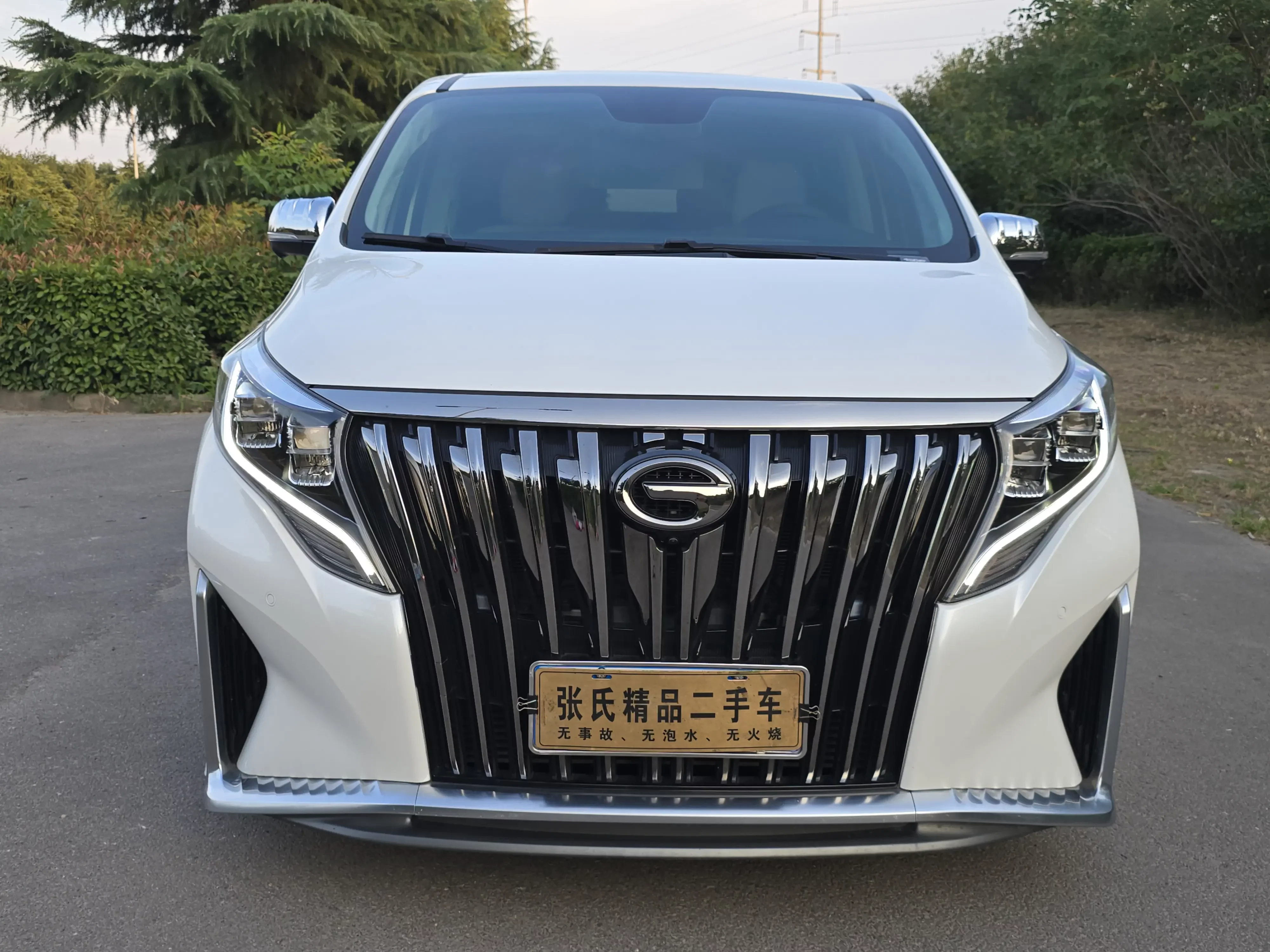 GAC Trumpchi M8  из Китая