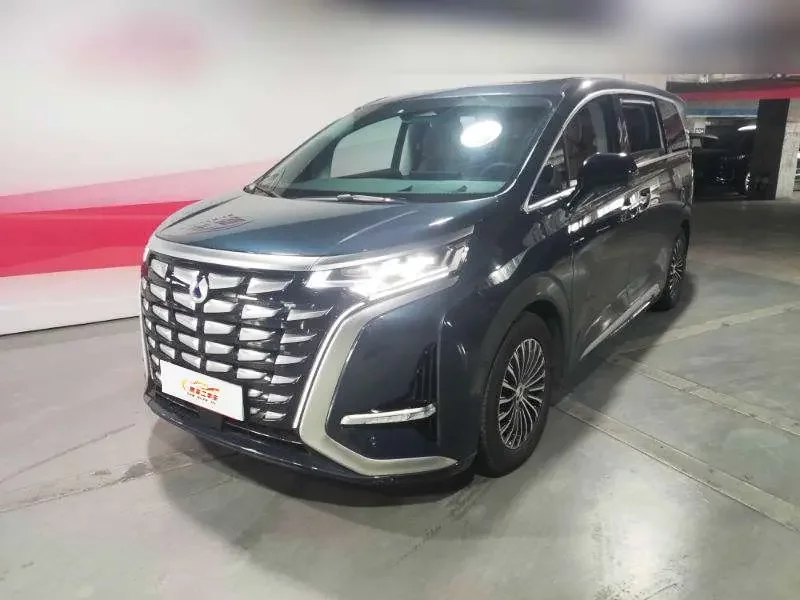 Denza D9 DM