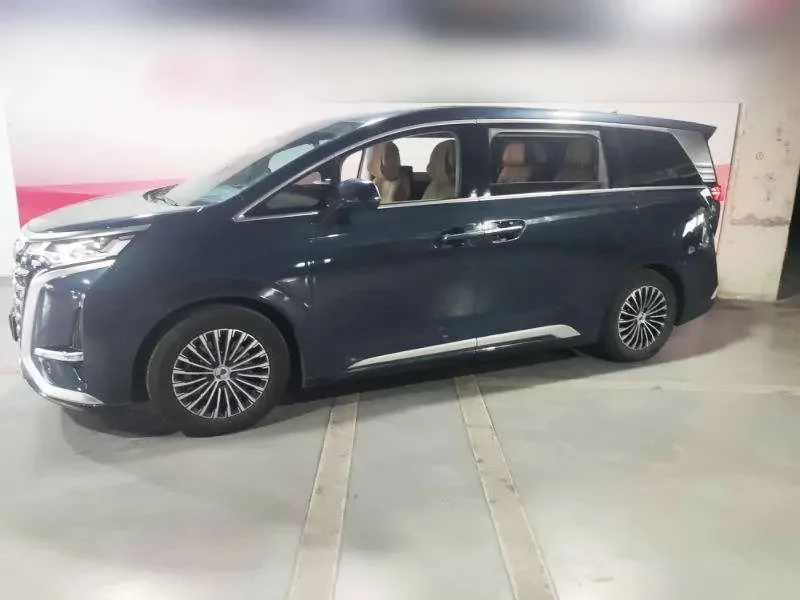 Denza D9 DM