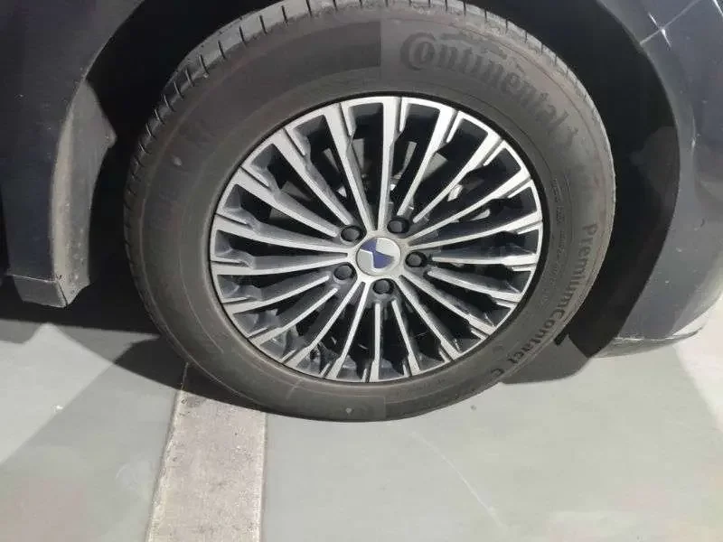 Denza D9 DM