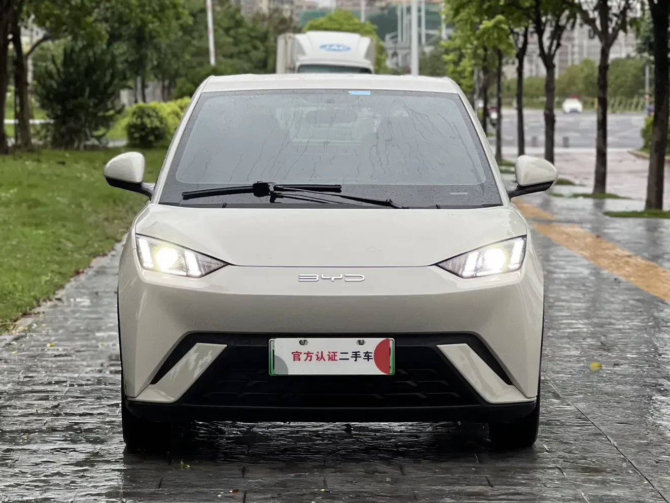 BYD seagull
