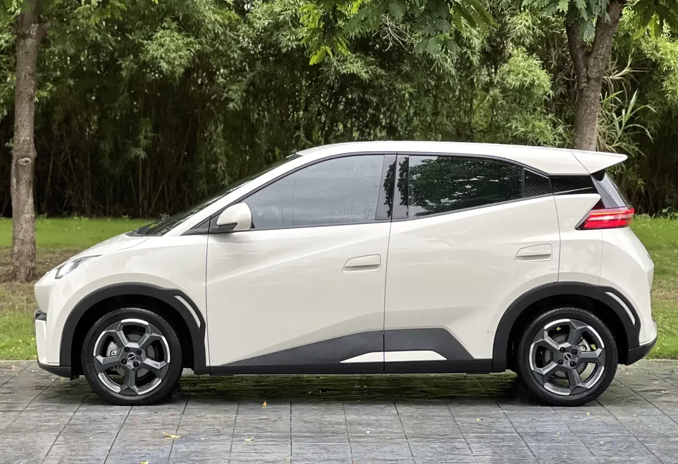 BYD seagull