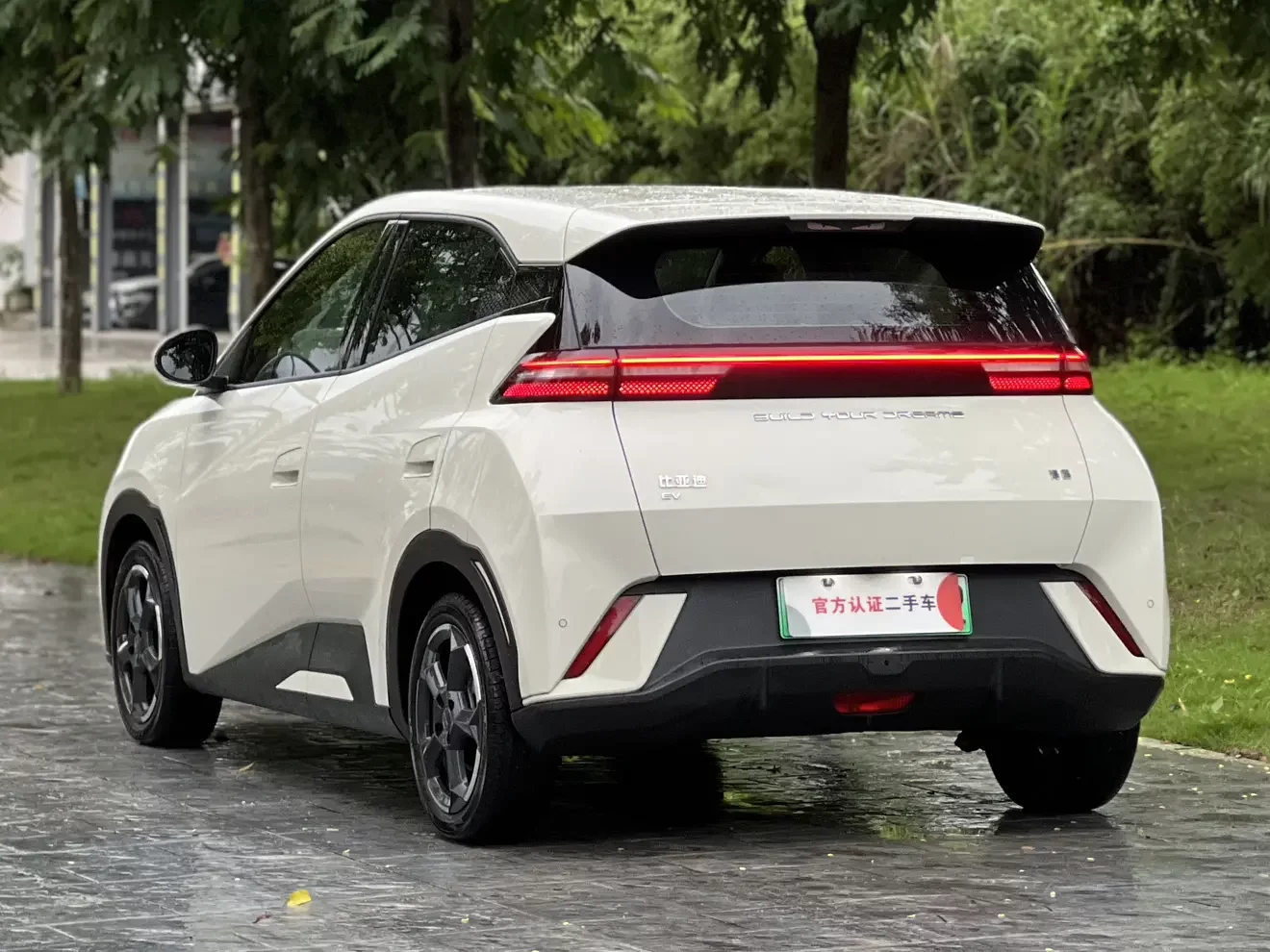 BYD seagull